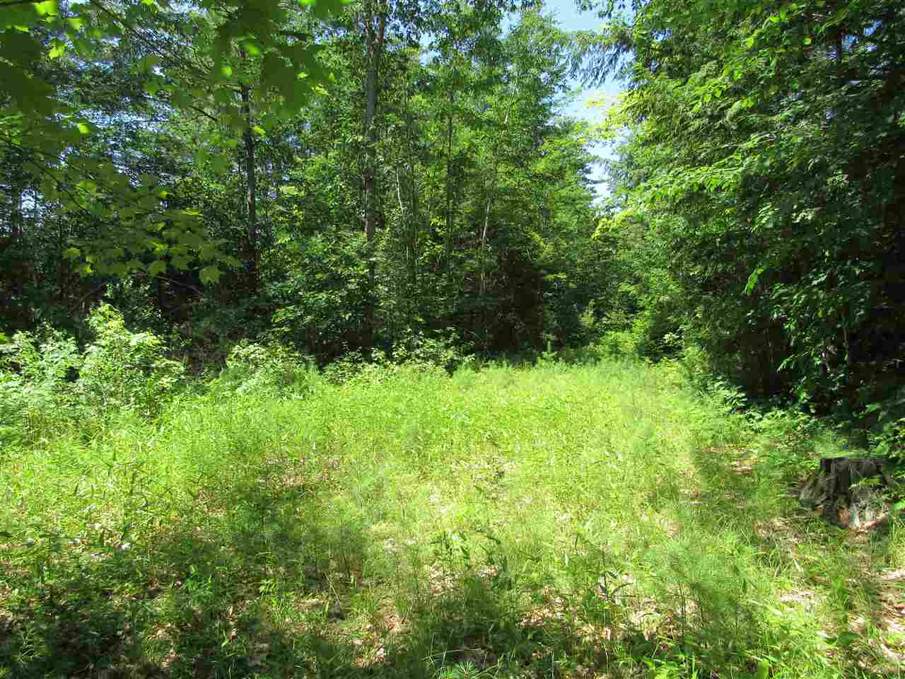 46 D Beede Flats Road North Sandwich, NH 03259 - Photo 4 of 40