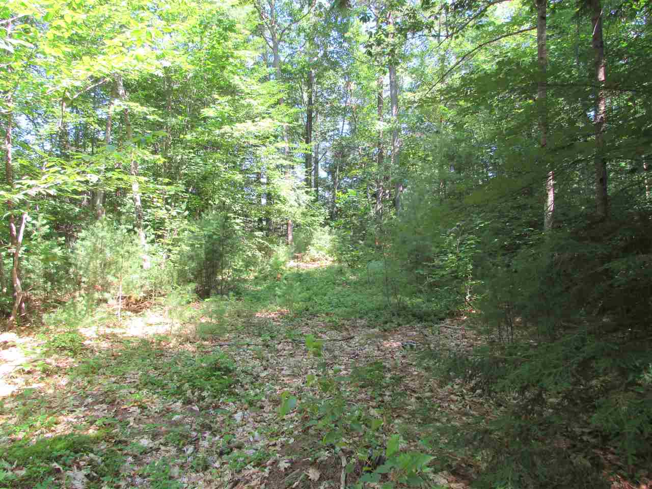 46 D Beede Flats Road North Sandwich, NH 03259 - Photo 8 of 40