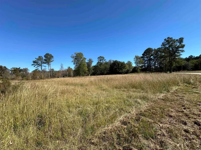 $225,000 | 1962 Highway 646, Loris, SC 29569