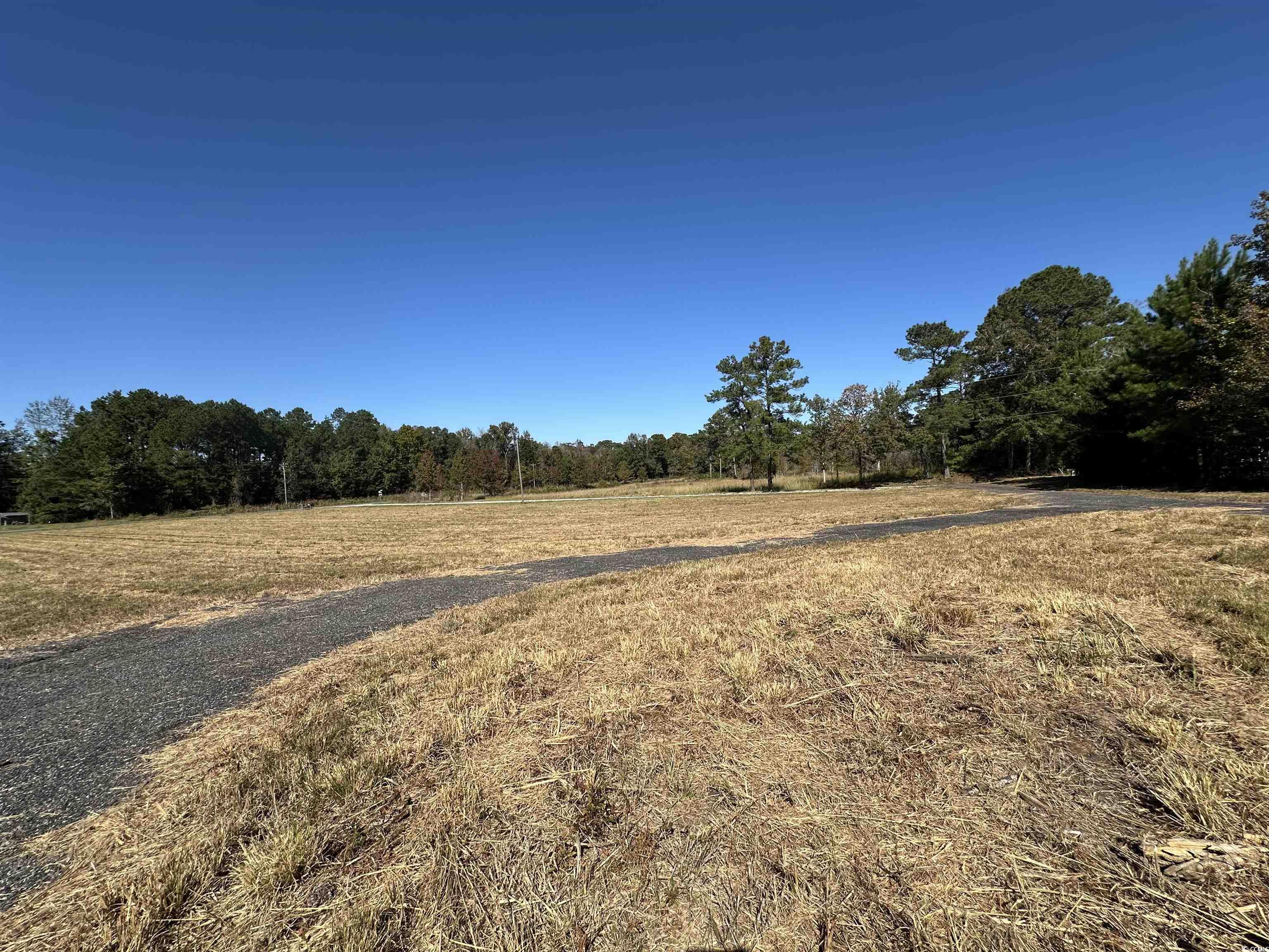 1962 Highway 646 Loris, SC 29569 - Photo 11 of 11