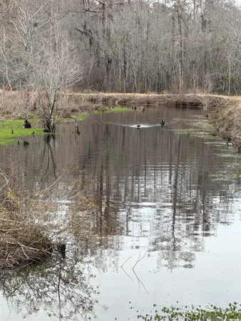 $225,000 | 1962 Highway 646, Loris, SC 29569