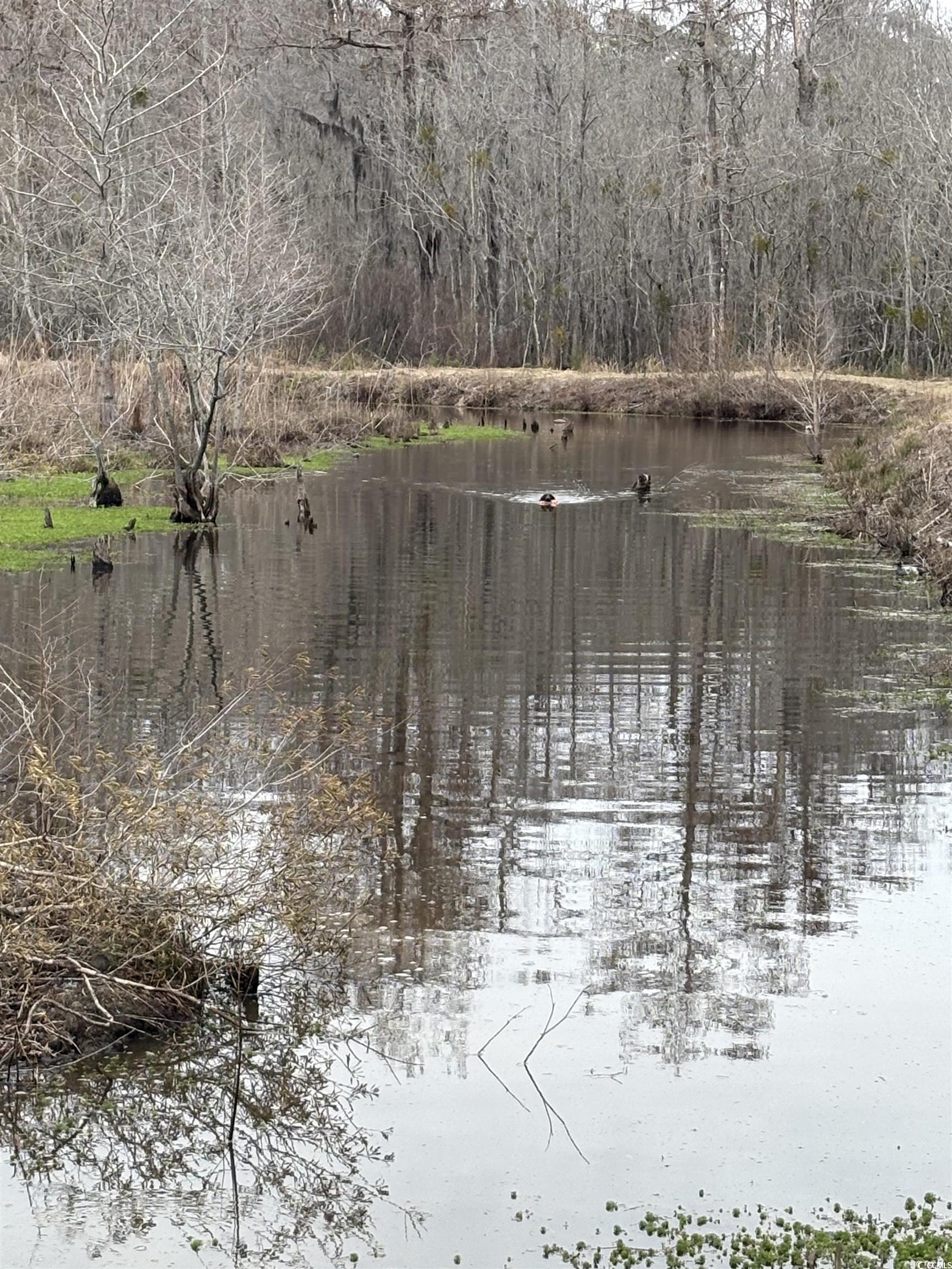 1962 Highway 646 Loris, SC 29569 - Photo 4 of 11