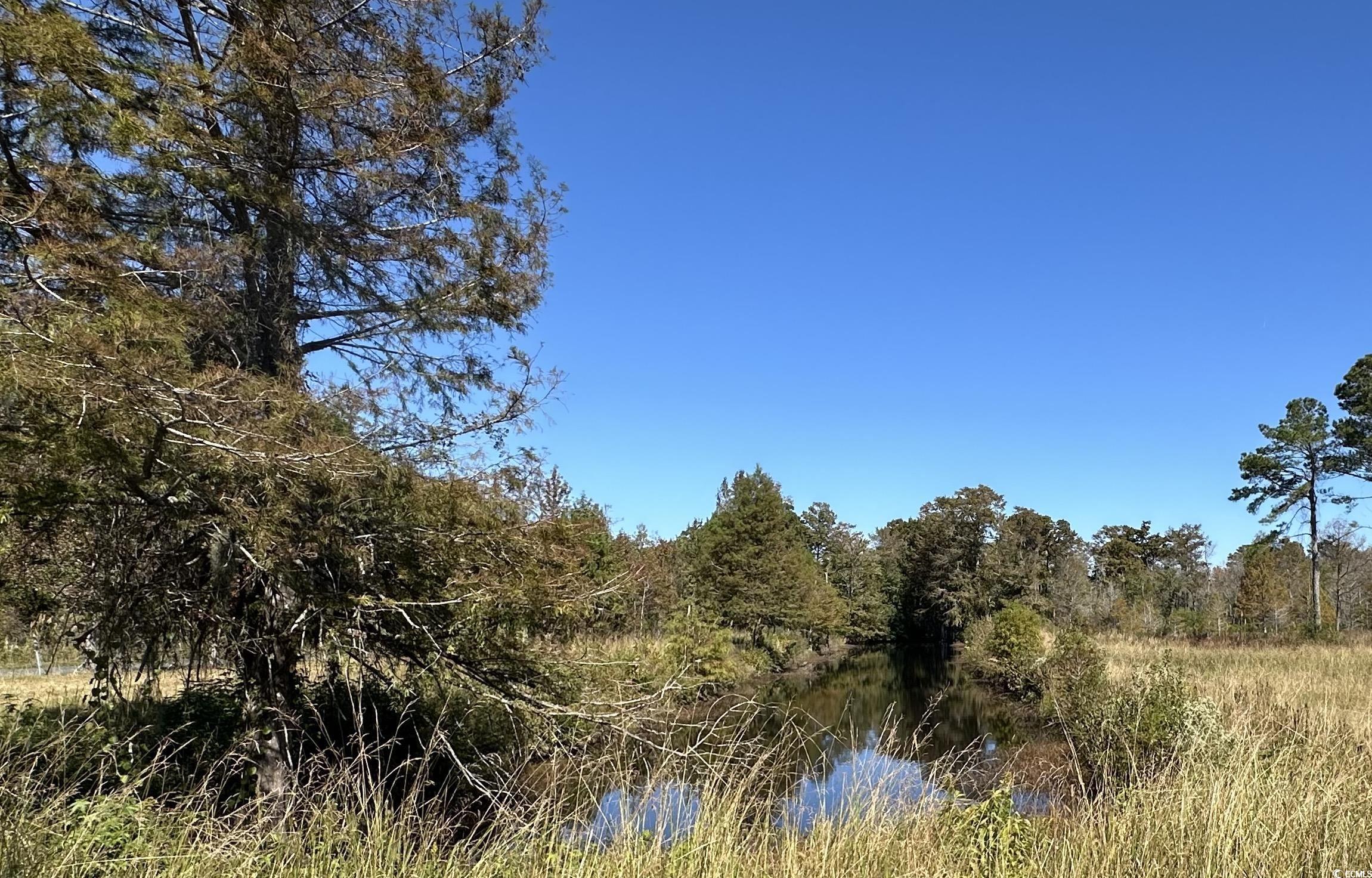 1962 Highway 646 Loris, SC 29569 - Photo 5 of 11