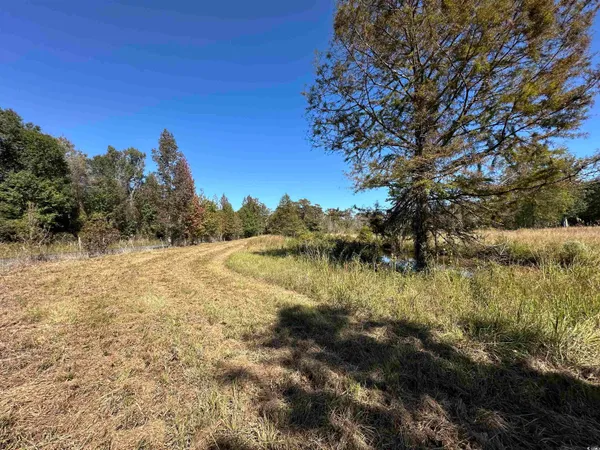 $225,000 | 1962 Highway 646, Loris, SC 29569