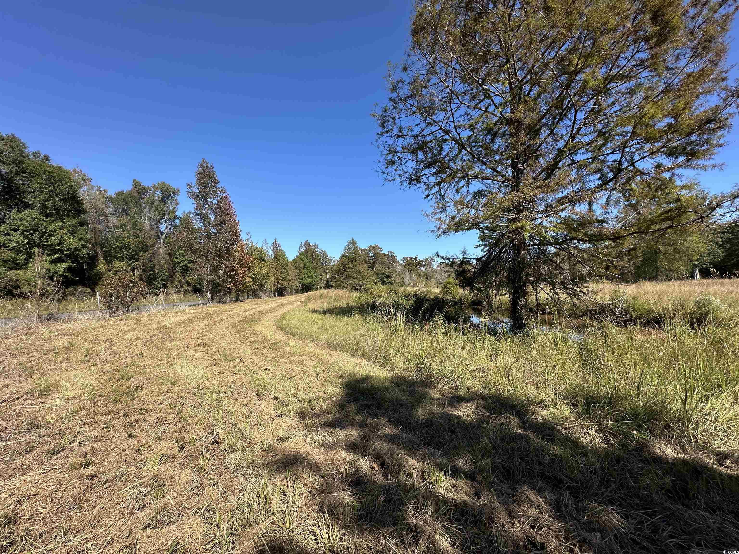 1962 Highway 646 Loris, SC 29569 - Photo 8 of 11