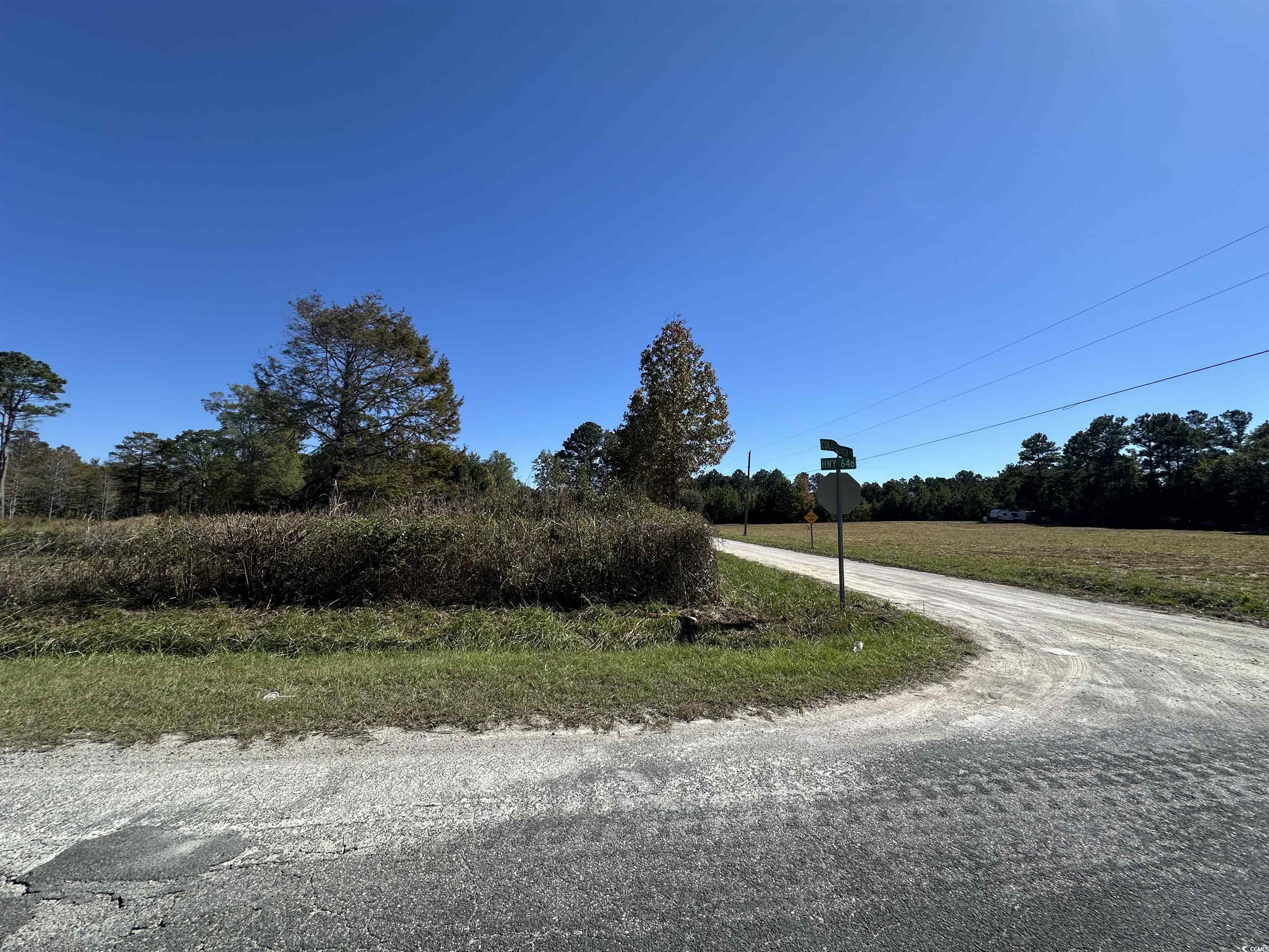 1962 Highway 646 Loris, SC 29569 - Photo 9 of 11