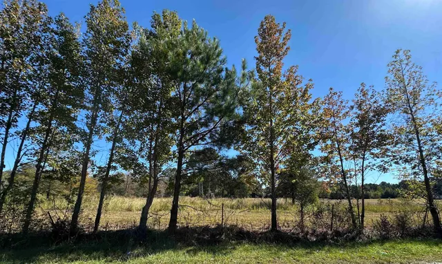 $225,000 | 1962 Highway 646, Loris, SC 29569