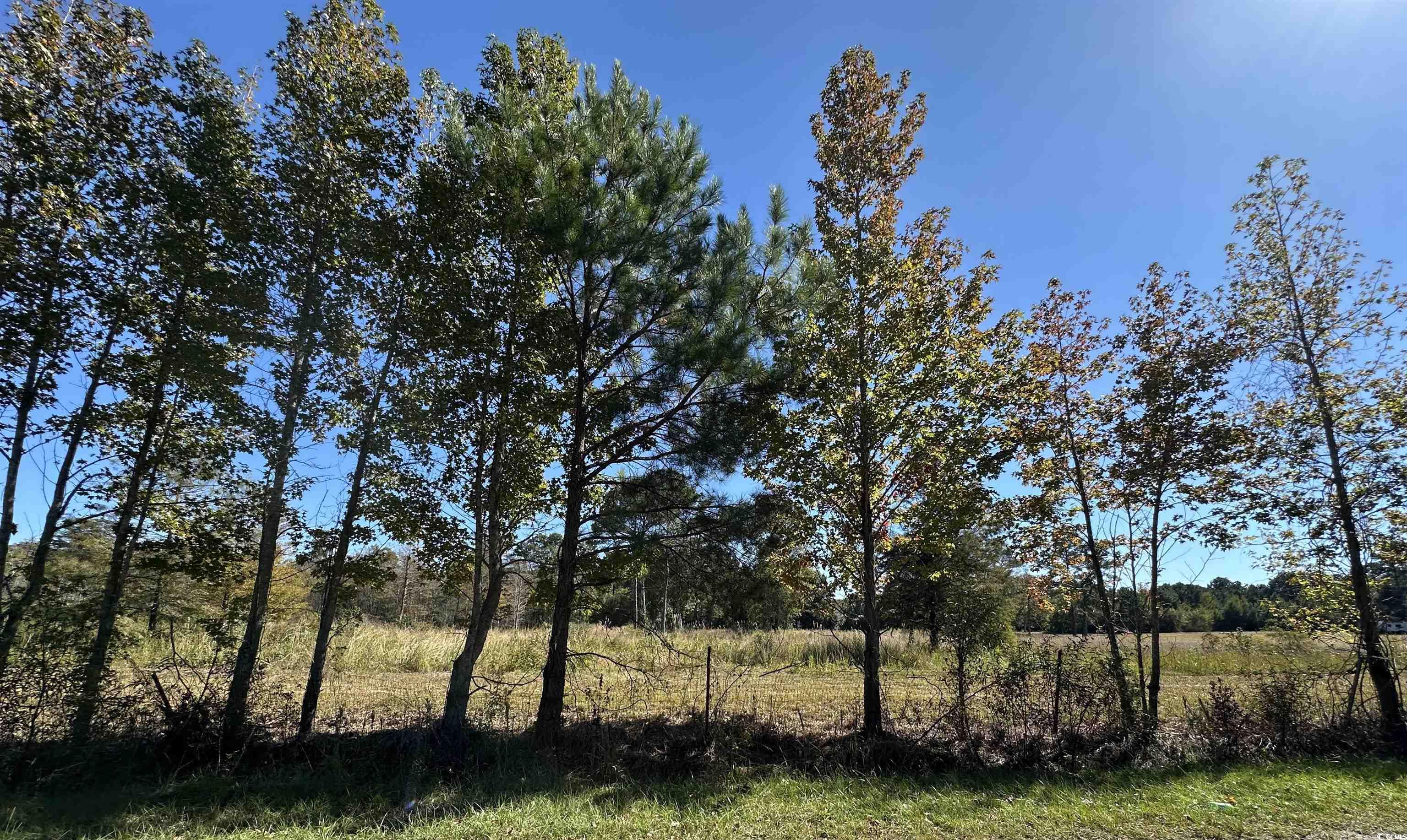 1962 Highway 646 Loris, SC 29569 - Photo 10 of 11