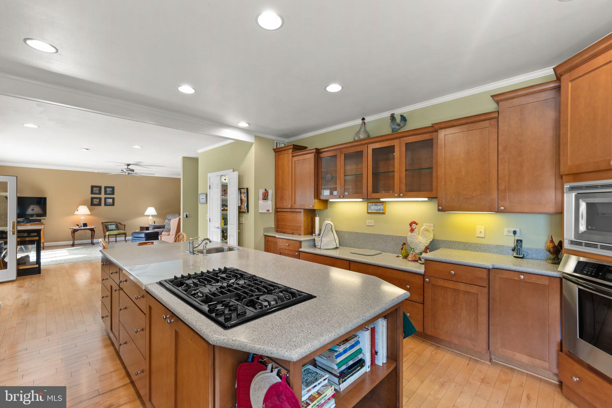 237 Aspen Trail Winchester, VA 22602 - Photo 17 of 69 a kitchen with stainless steel appliances granite countertop a stove and a sink