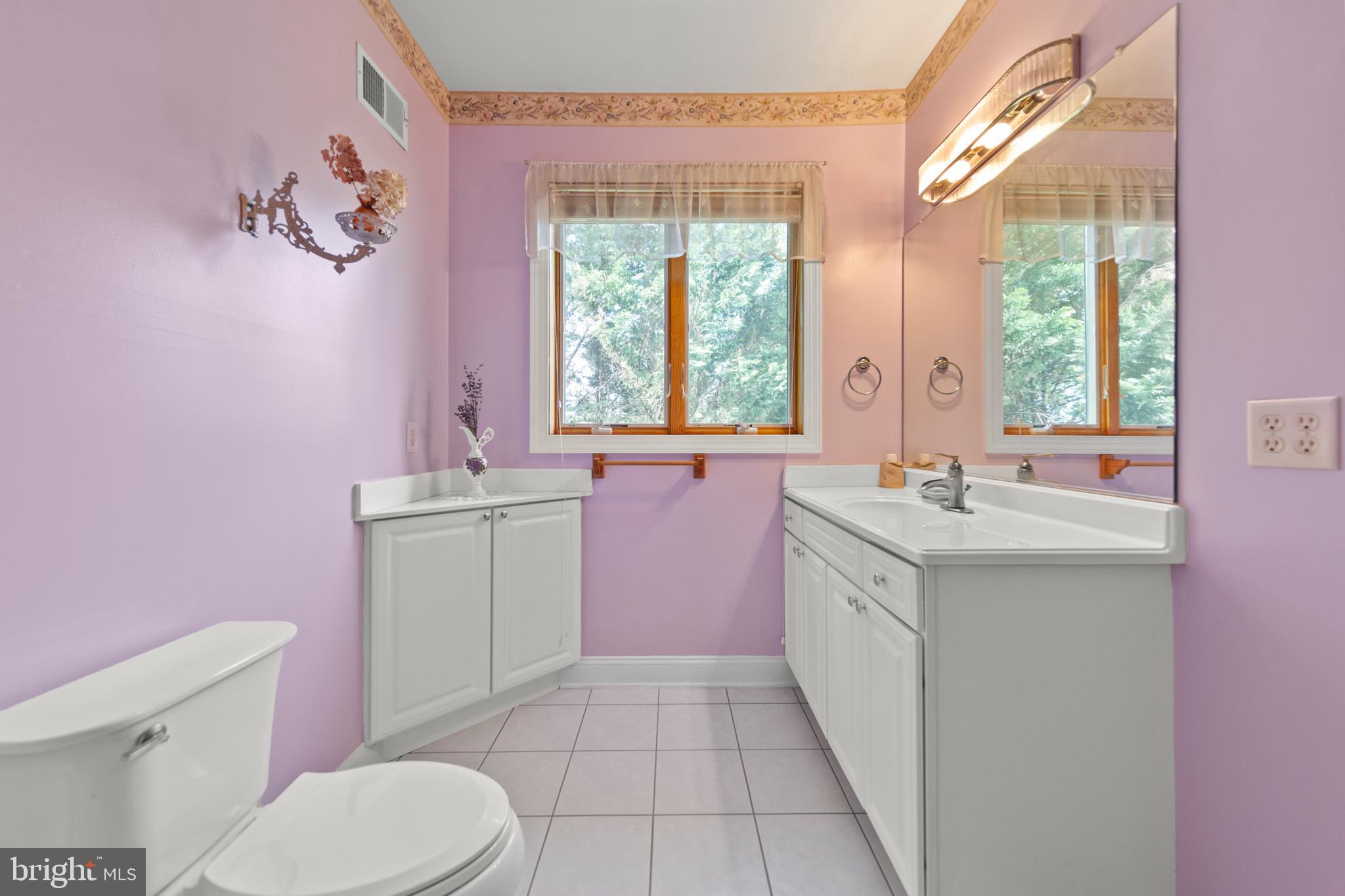 237 Aspen Trail Winchester, VA 22602 - Photo 36 of 69 a bathroom with a sink a vanity and a toilet