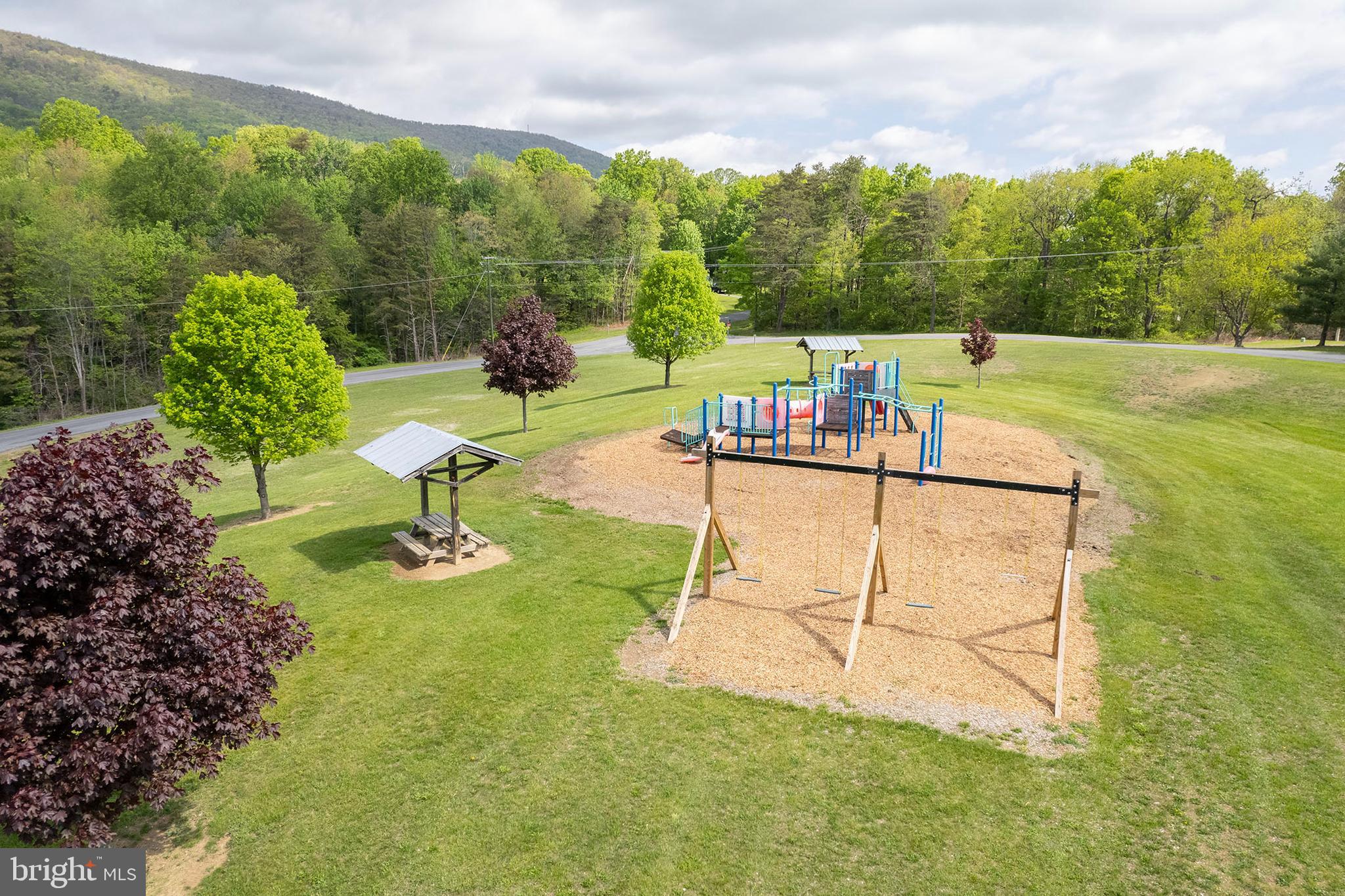 237 Aspen Trail Winchester, VA 22602 - Photo 69 of 69 a view of a garden with a fountain