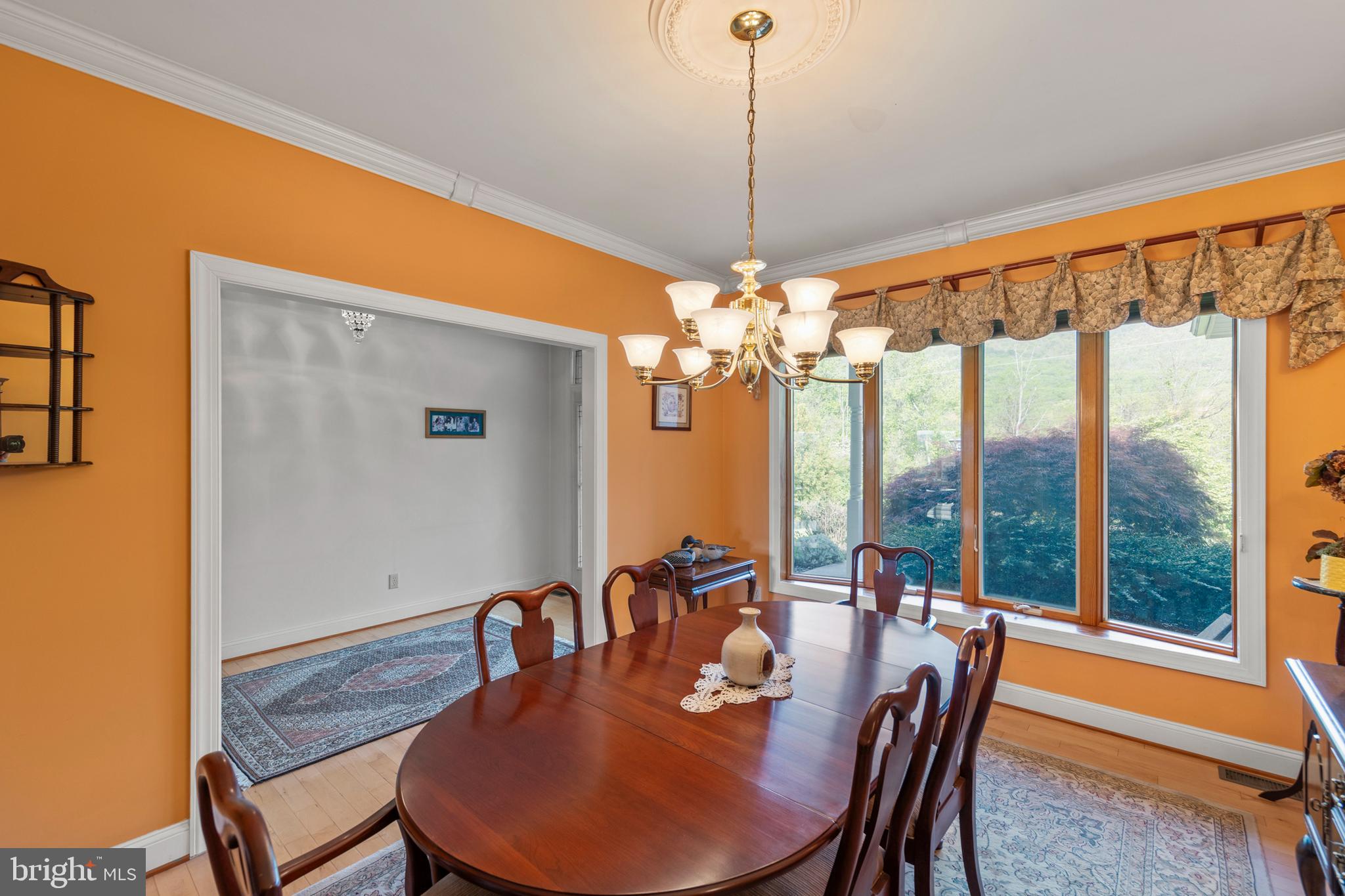 237 Aspen Trail Winchester, VA 22602 - Photo 10 of 69 a view of a dining room with furniture window and outside view