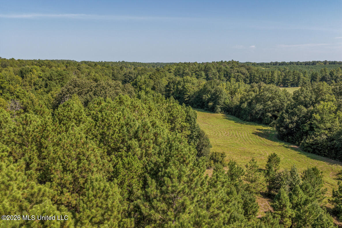 5056 Bethesda Road Crystal Springs, MS 39059 - Photo 3 of 48 DJI_20260818103823_0662_D