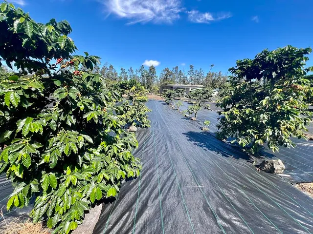 a view of a lake with a yard