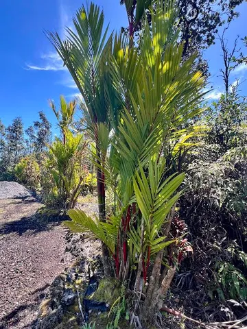 a view of a wooden house with a yard