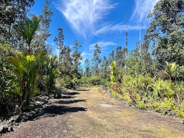 a view of road with trees