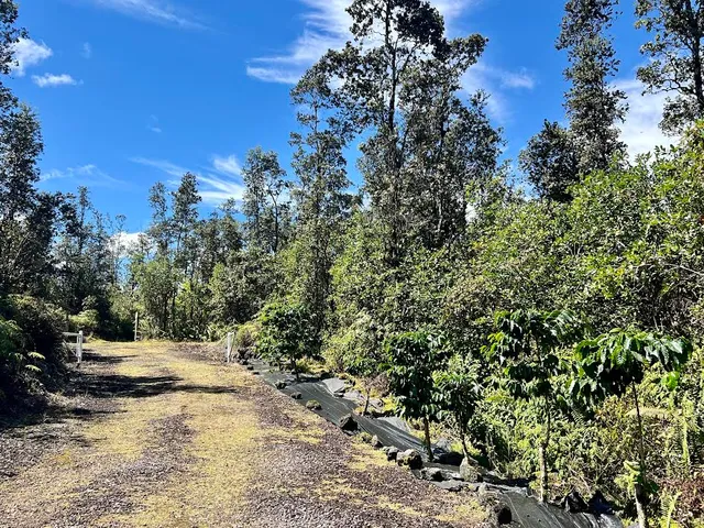 a view of outdoor space and yard