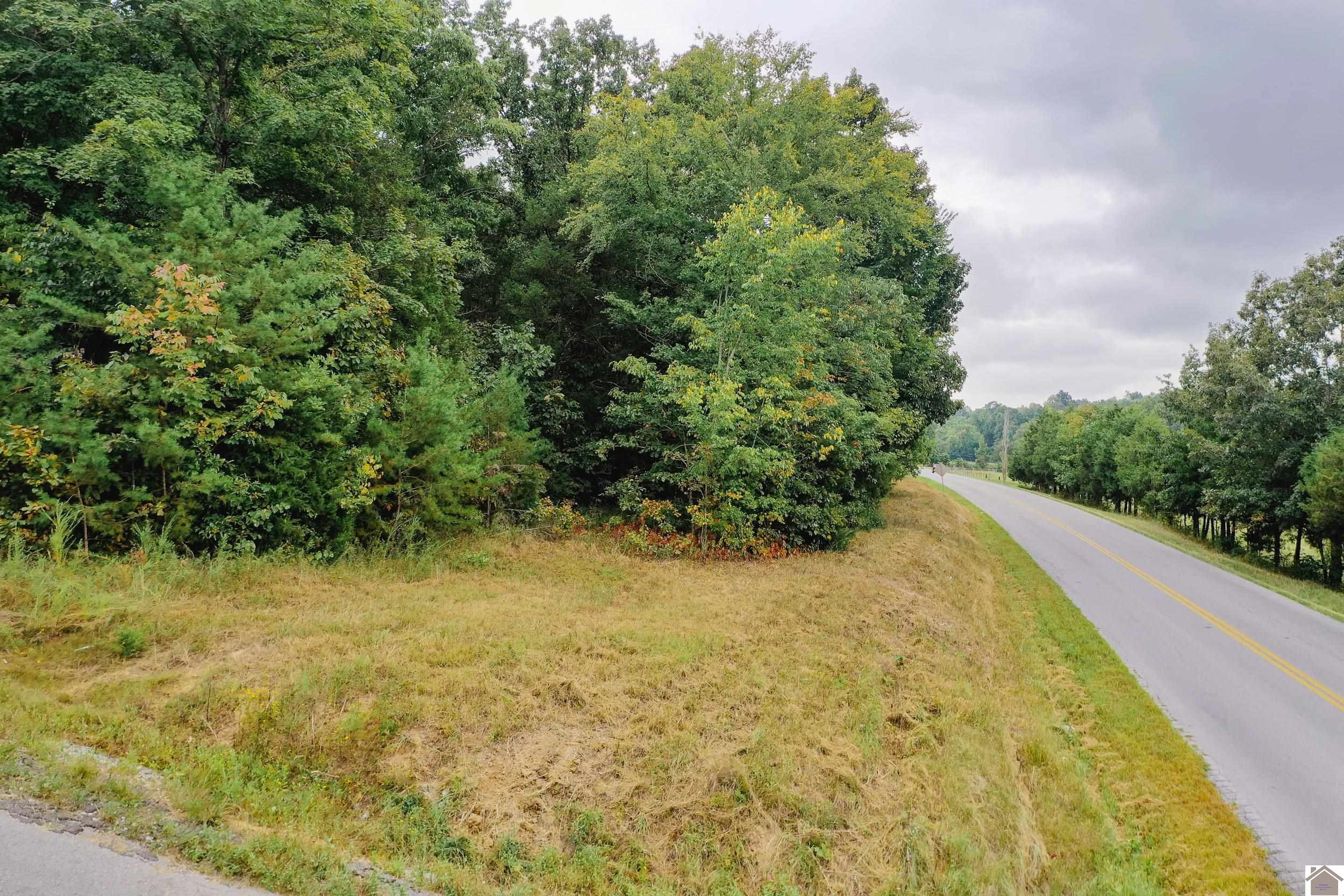 0 Farmersville Road, Unit 19 Princeton, KY 42445 - Photo 6 of 9 Photo 6