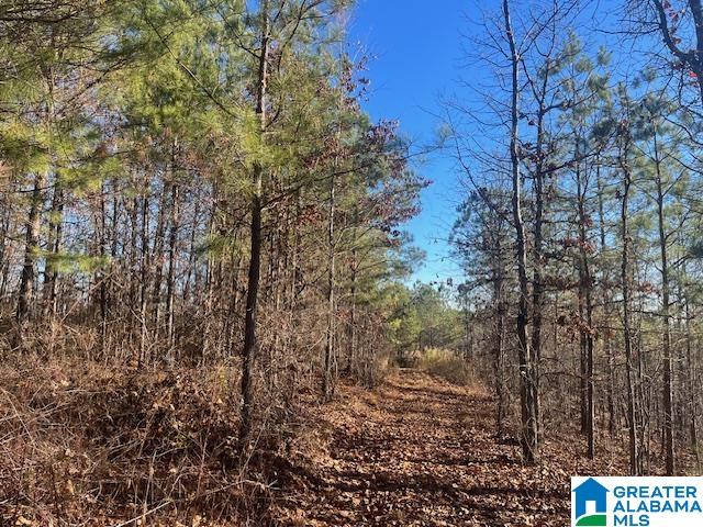 Tablee Lane, Unit 17 65 Ashland, AL 36251 - Photo 5 of 7
