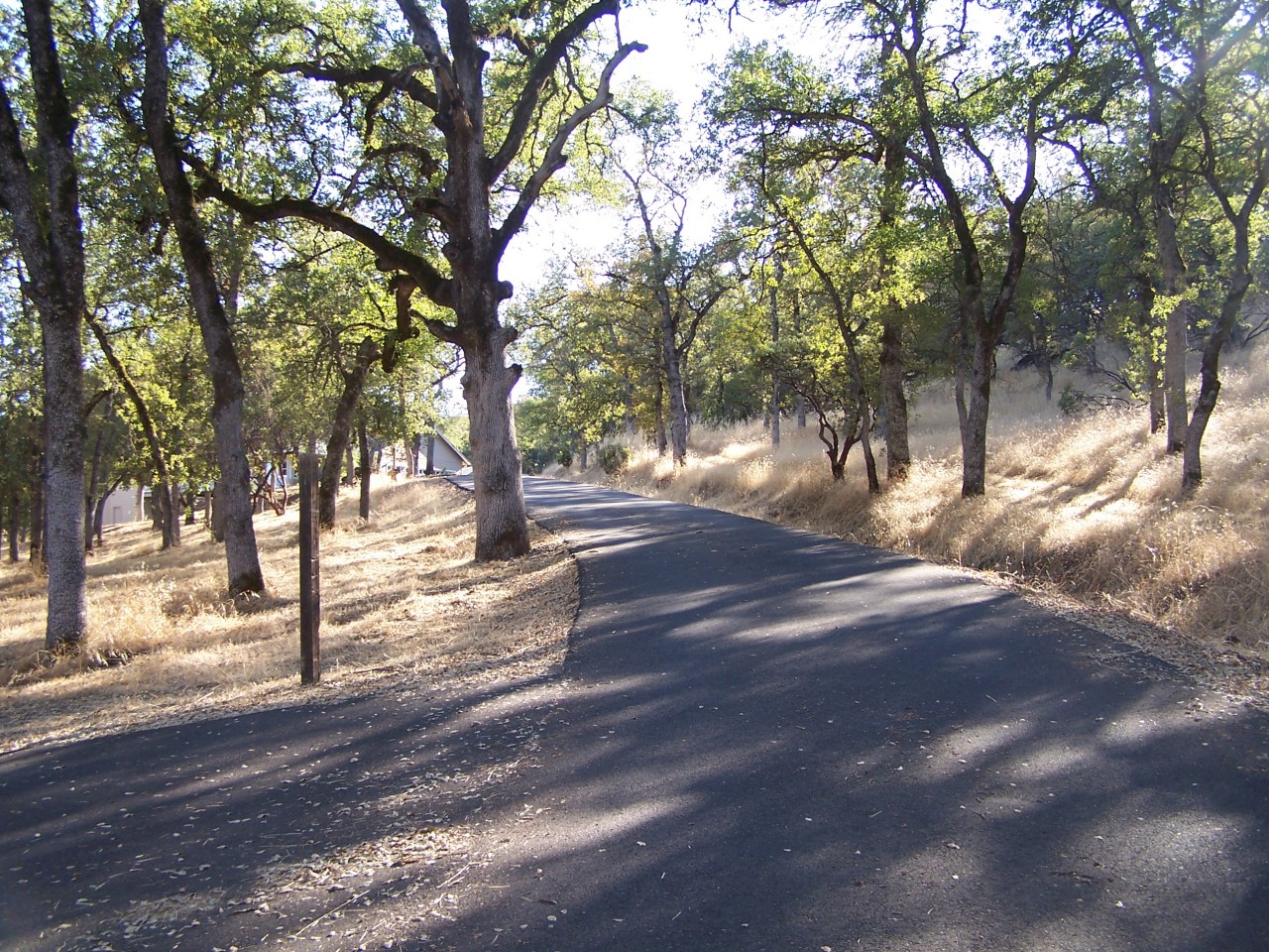 8286 Maynard Road Palo Cedro, CA 96073 - Photo 11 of 11 Driveway up to Home
