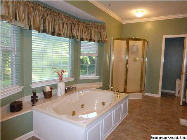 149 Chestnut Drive Alabaster, AL 35007 - Photo 15 of 32