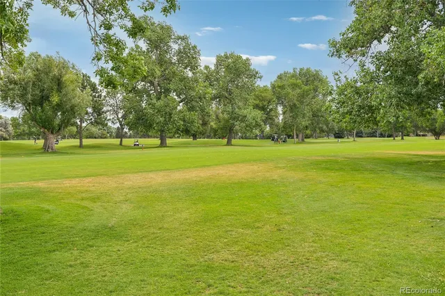 a view of a big yard with an trees