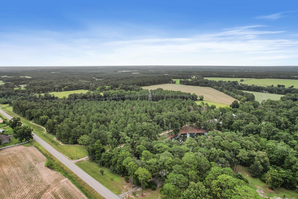 6850 North Co Road Columbia, AL 36319 - Photo 57 of 81