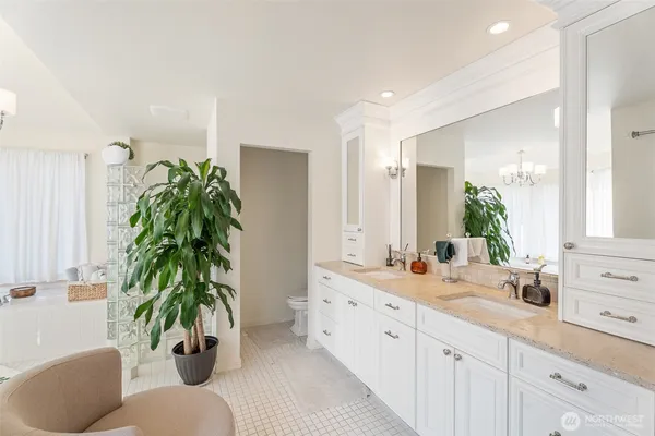 a bathroom with a potted plant and a sink