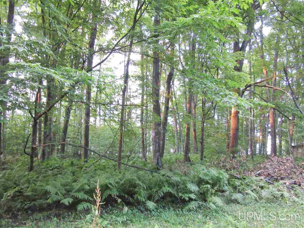 Tbd North Needle Pointe Road, Unit LOT 3 Germfask, MI 49836 - Photo 7 of 13