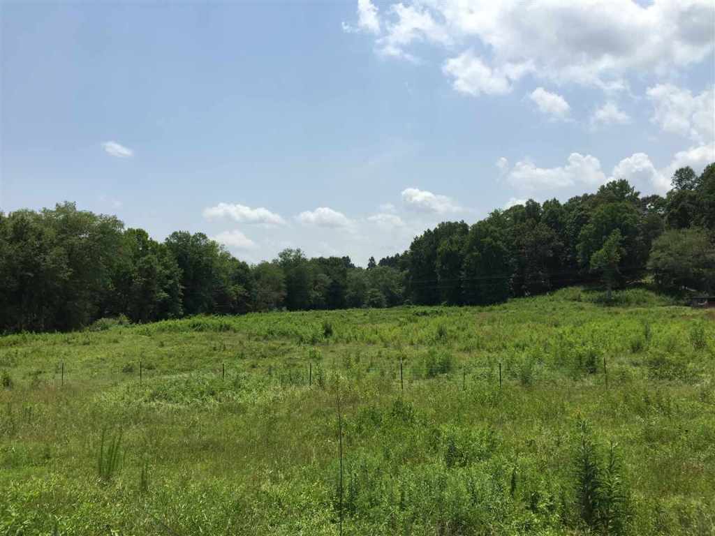 320 Spring Valley Road Liberty, SC 29657 - Photo 3 of 5