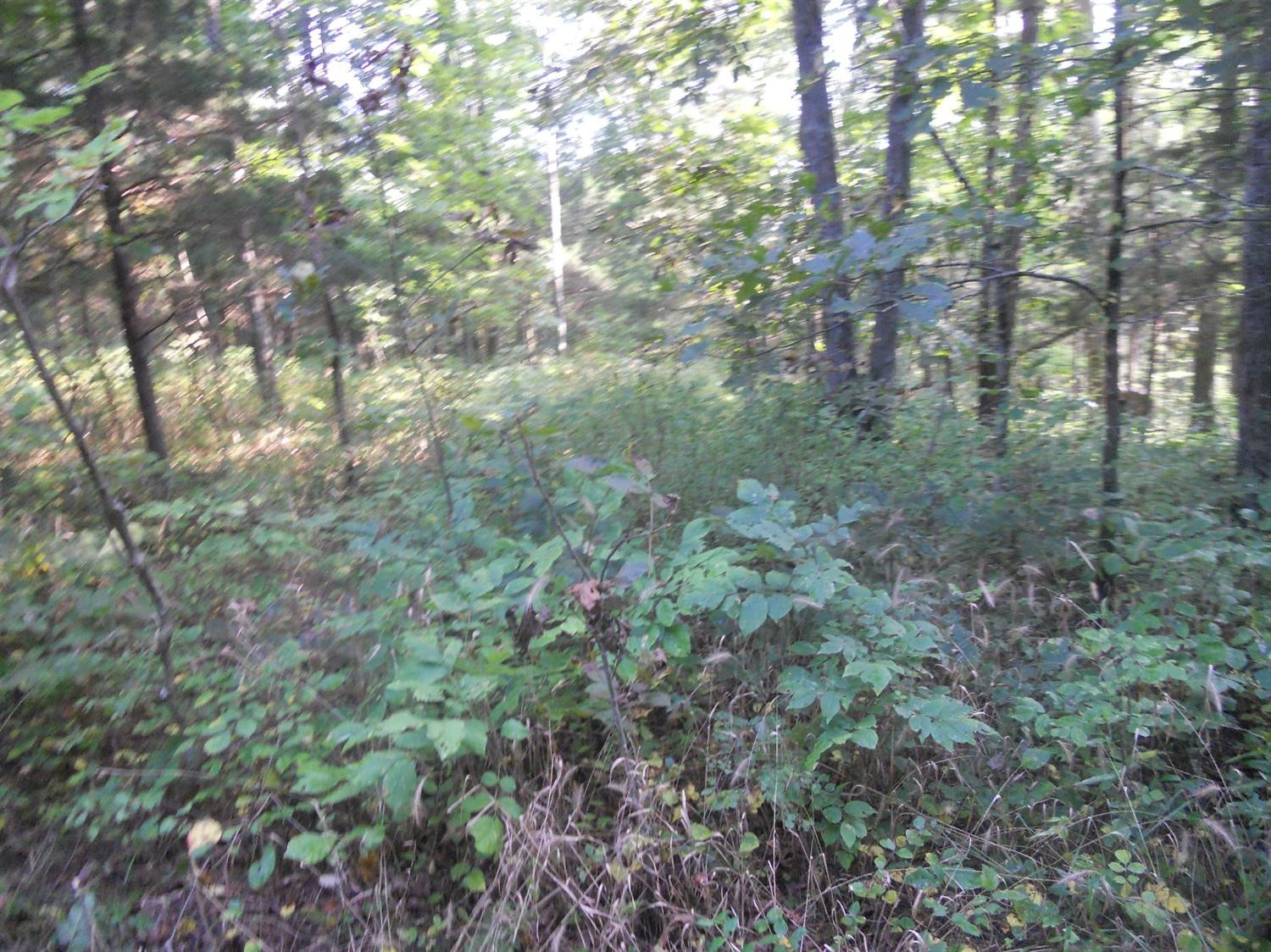 4164 Bardstown Road Lawrenceburg, KY 40342 - Photo 12 of 22 Photo 12