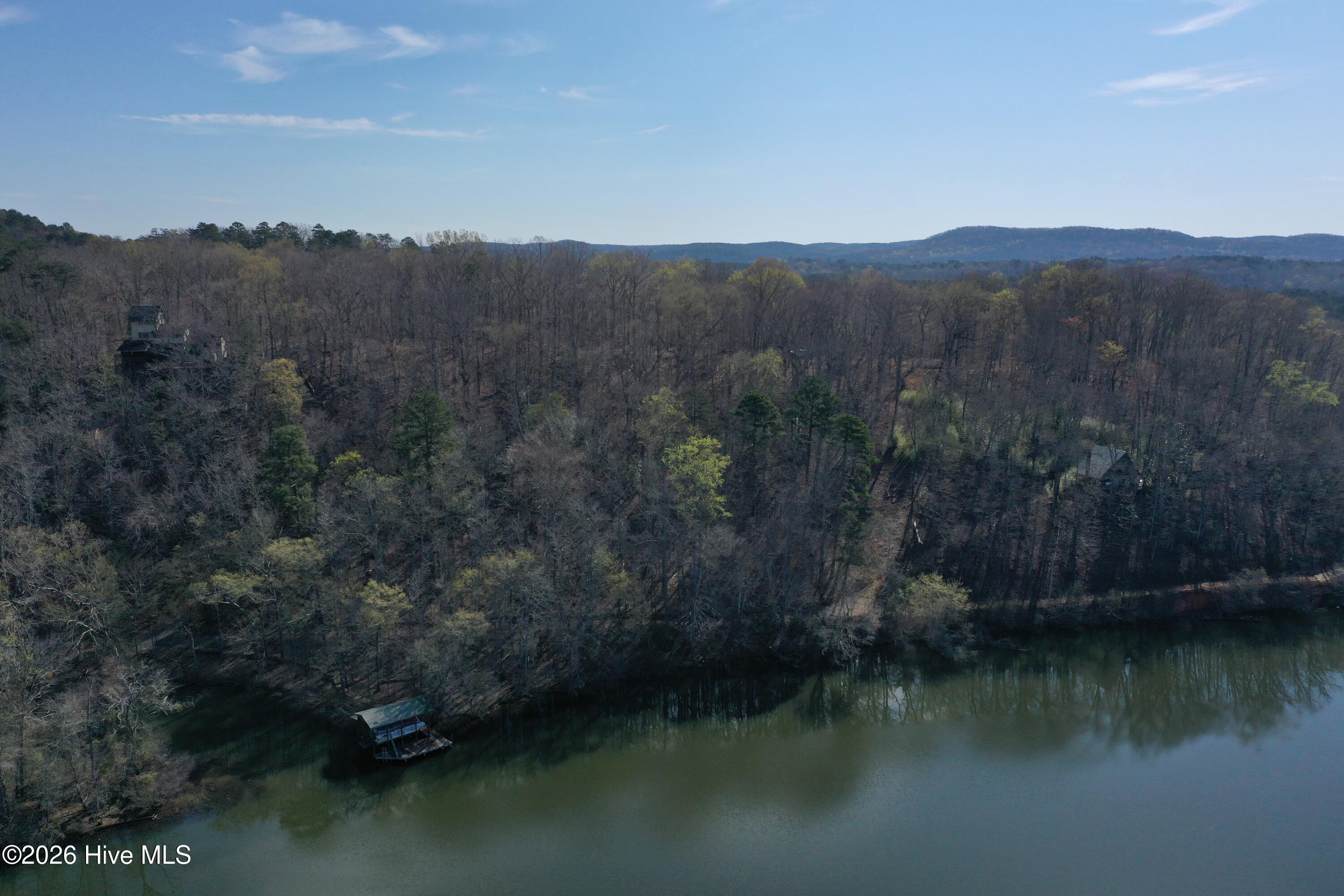 Tbd Haltiwanger Retreat Road Troy, NC 27371 - Photo 3 of 21