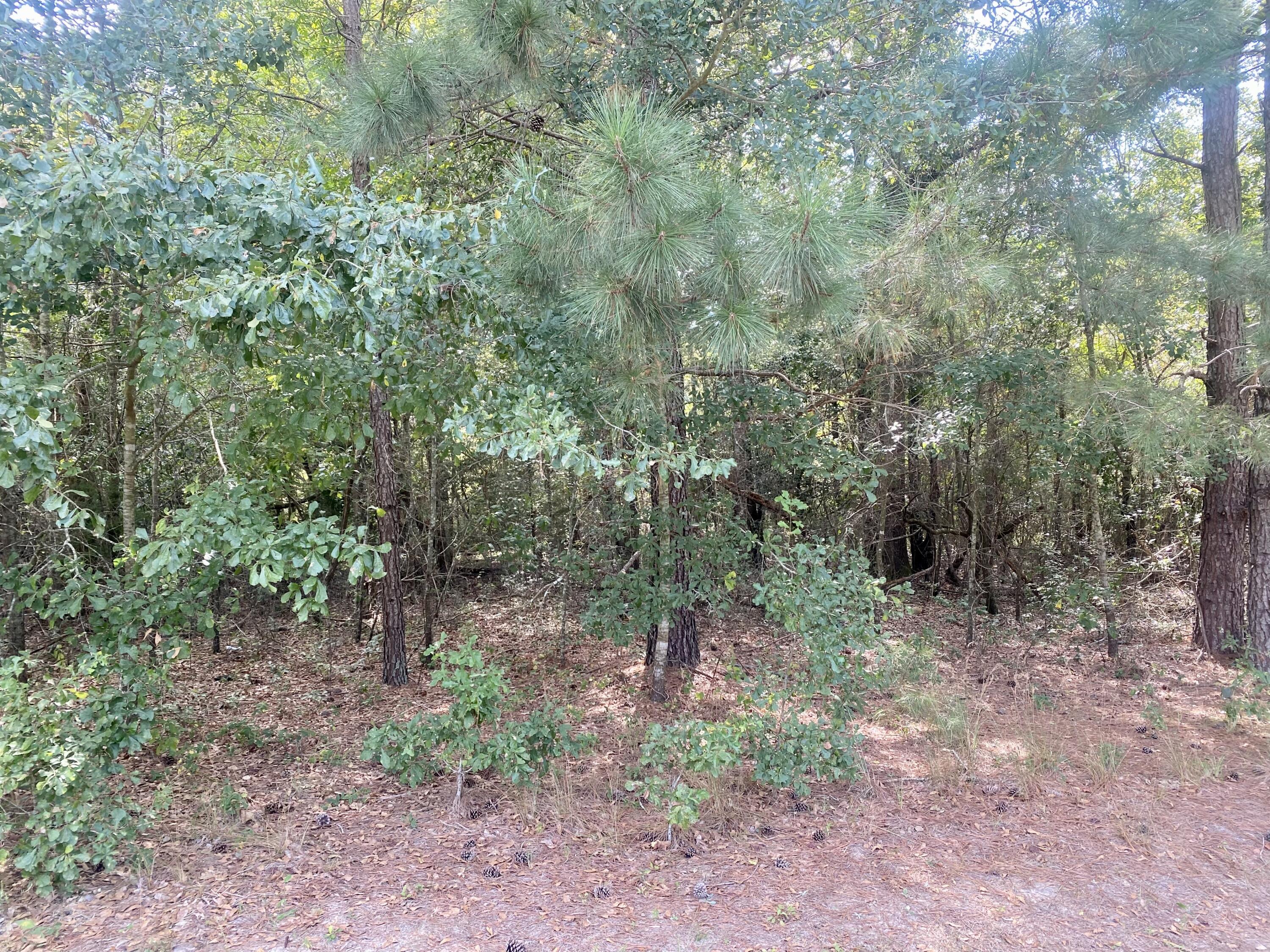 0 Myers Road Graniteville, SC 29829 - Photo 1 of 4