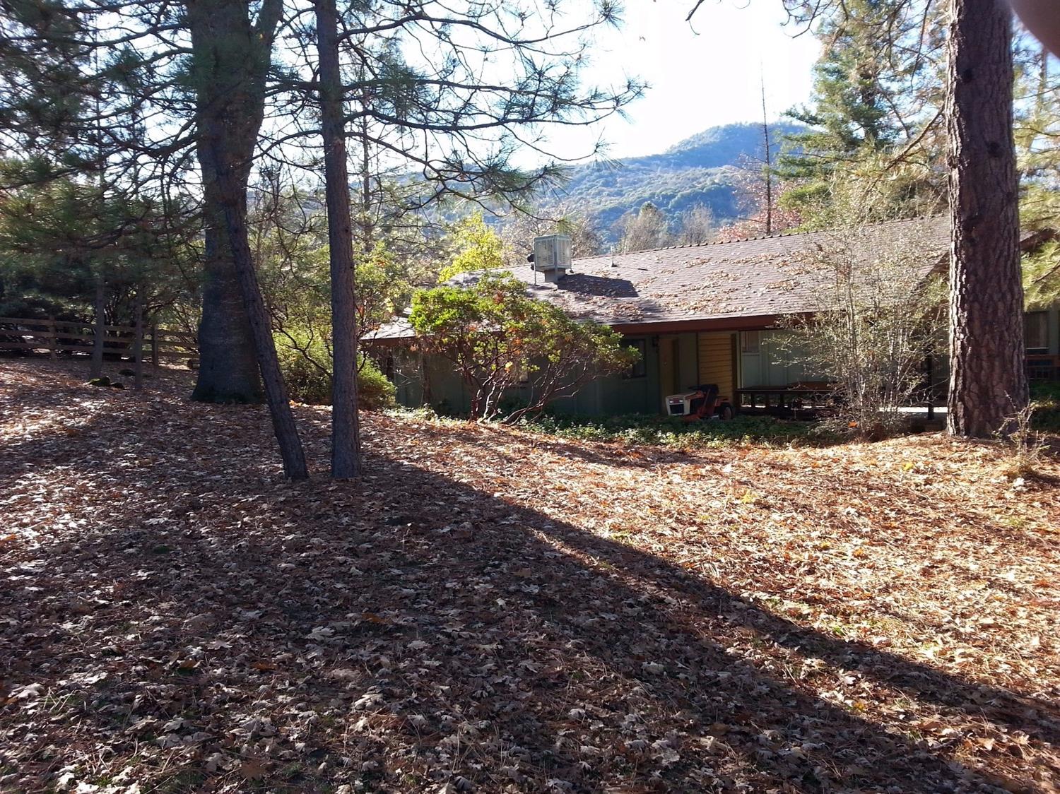 39615 Pine Ridge Road Oakhurst, CA 93644 - Photo 8 of 9 Gallery Image 8