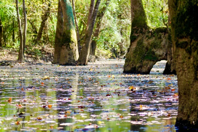 $192,500 | 35 Mississippi 35 Mount, Mount Olive, MS 39119