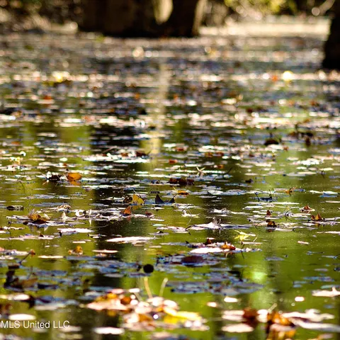 $192,500 | 35 Mississippi 35 Mount, Mount Olive, MS 39119