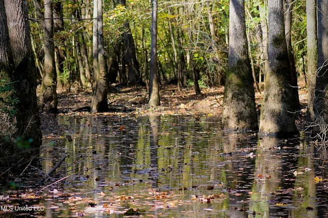 $192,500 | 35 Mississippi 35 Mount, Mount Olive, MS 39119