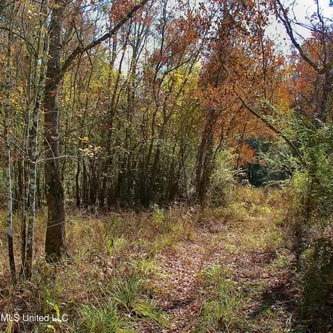 $192,500 | 35 Mississippi 35 Mount, Mount Olive, MS 39119