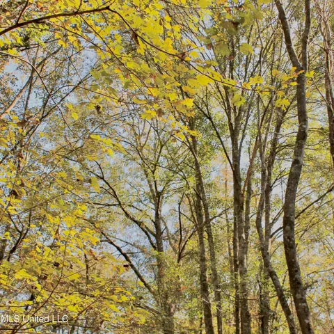 $192,500 | 35 Mississippi 35 Mount, Mount Olive, MS 39119