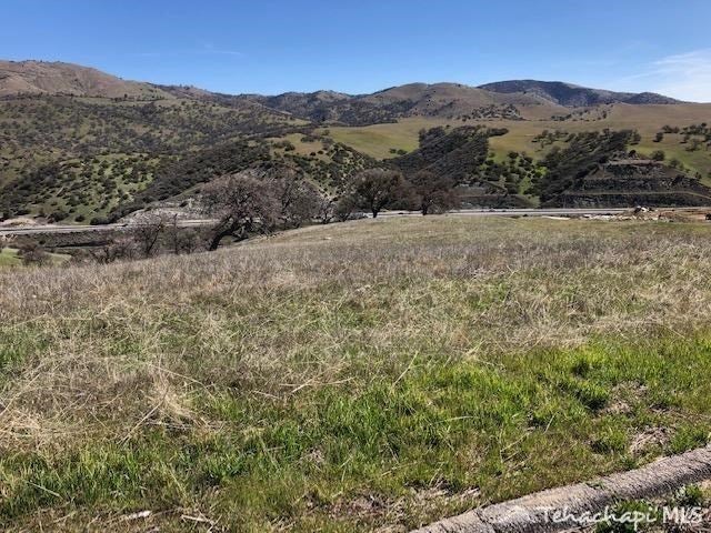 0 Sycamore Drive Tehachapi, CA 93561 - Photo 1 of 3 Gallery Image 1