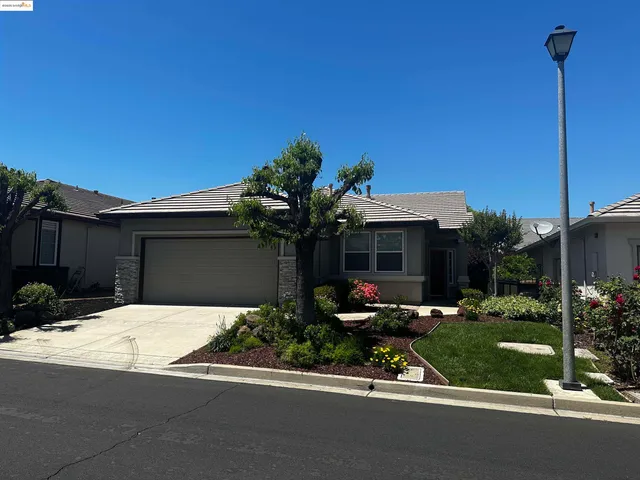 a house with trees in the background