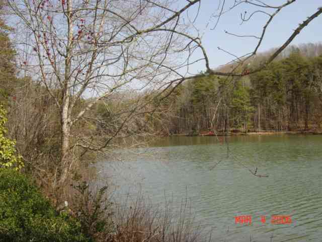 Lot 5 Springlake Road Six Mile, SC 29682 - Photo 1 of 4 Gallery Image 1