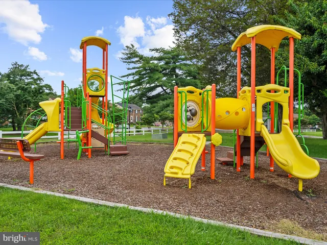 a view of a park with plants and large trees