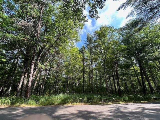 On Zeman Road Eagle River, WI 54521 - Photo 1 of 10 Gallery Image 1