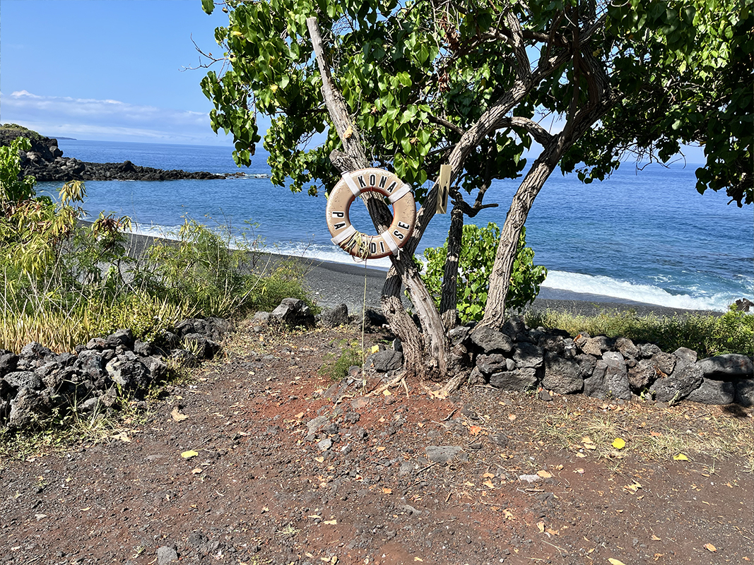 87-291 Kaohe Road Captain Cook, HI 96704 - Photo 10 of 13
