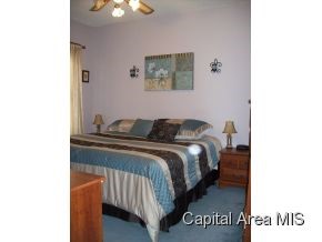 2044 South 4th Street Springfield, IL 62703 - Photo 5 of 21