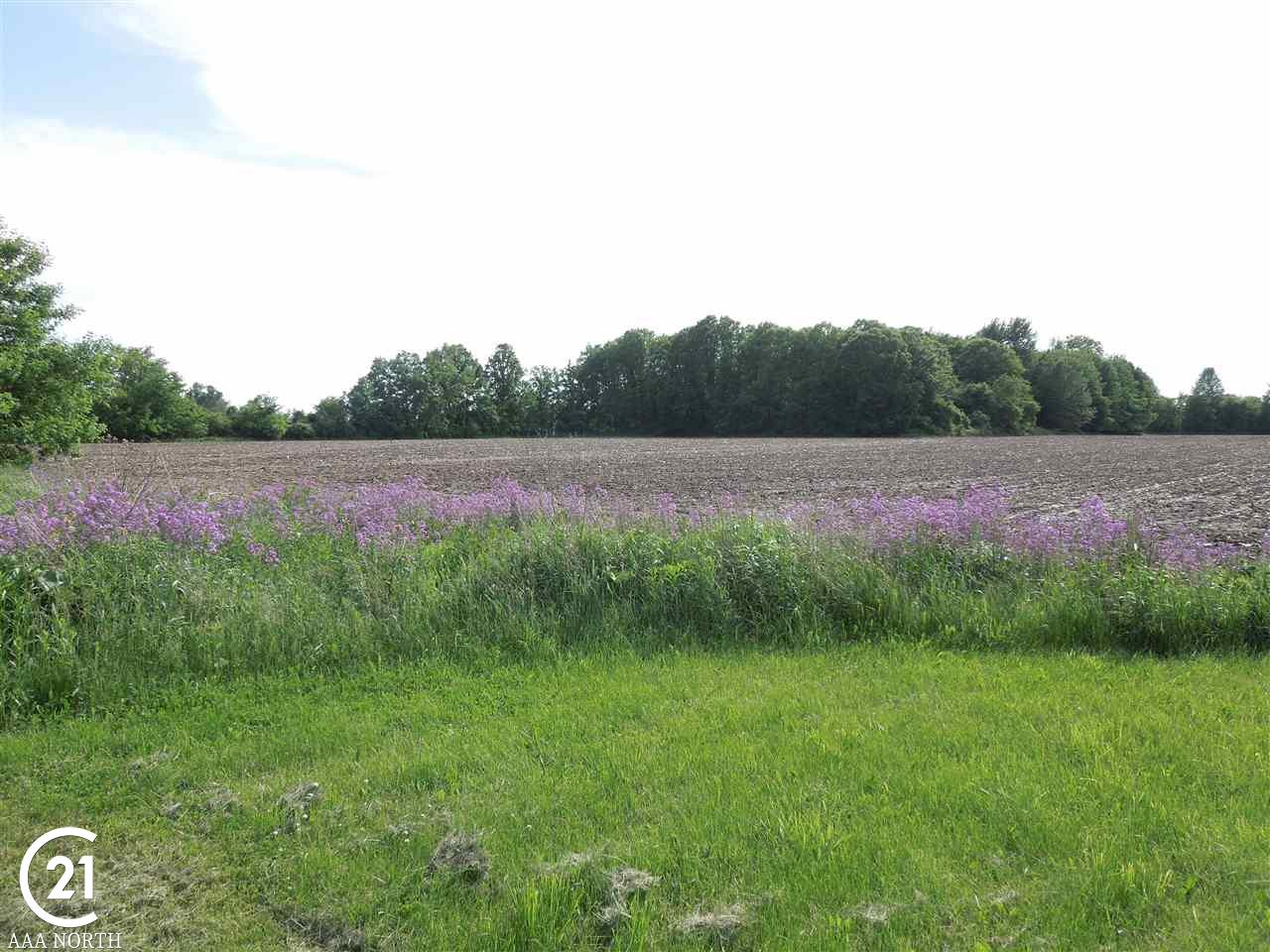 387 Howell Road Allenton, MI 48002 - Photo 33 of 33