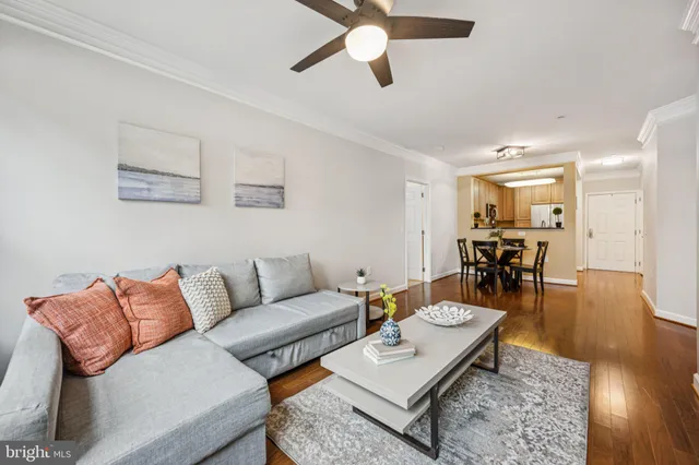a living room with furniture rug and window