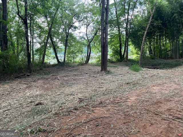 0 Sportsman Club Road Grantville, GA 30220 - Photo 8 of 46 a view of a forest with trees in the background