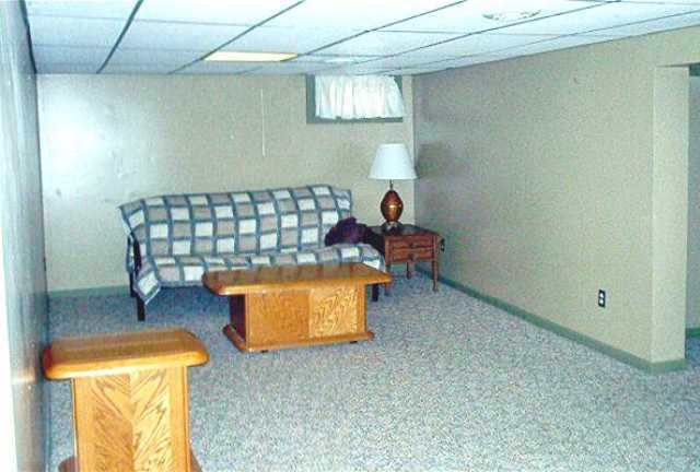 3051 South Meridian Road Jackson, MI 49203 - Photo 8 of 11 Photo 8
